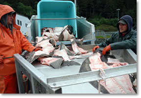 Alaska Fish
