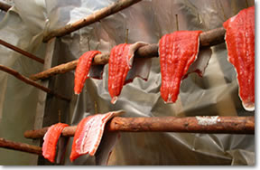 Salmon Drying