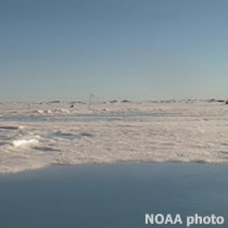 Arctic sea ice