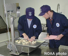 Seafood Inspectors