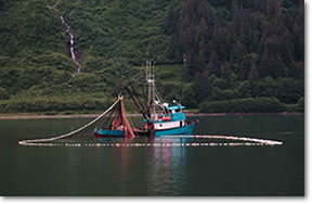 Alaska Department of Fish and Game Commissioner Denby Lloyd stated that he was aware that the department asked the Legislature to consider the amendment based on prior communications with the Department of Law.