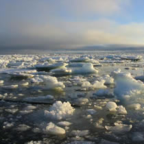 A field study now under way is looking at the pollutants within the Arctic atmosphere - called Arctic Haze - including their sources, concentrations, and climate impact, in an ice-free region.