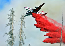 The Division of Forestry says a forest fire in the Caribou Hills east of Ninilchik, Alaska has burned more than 2,500 acres and is totally out of control.