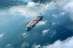 Finally, after eighteen disillusioning years of waiting for compensation for the Exxon Valdez oil spill, someone has called foul on the rank politics that have been obscuring and delaying settlement of the case.