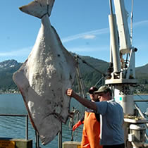 NOAA Fisheries Service has published rules implementing changes to the commercial Individual Fishing Quota system established by the North Pacific Fishery Management Council for Pacific halibut and sablefish in Alaska.