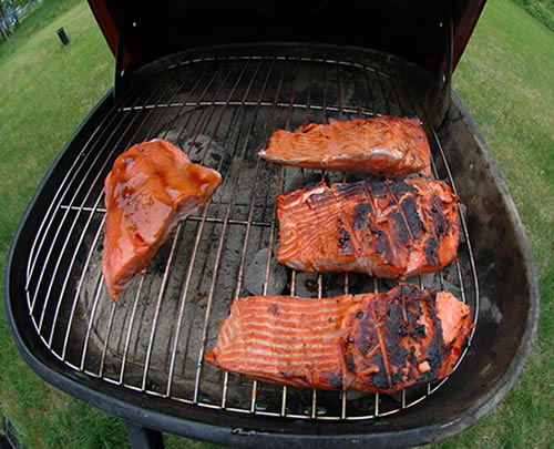Salmon Feast