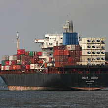 The 781-foot container ship India Lotus.