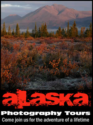 Alaska Photography Tours