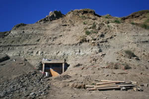 The dinosaur mine extends 60 feetinto Colville River permafrost