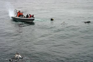 Greenpeace diving spheres out to look at critical fish habitat for the first time in the Bering Sea.