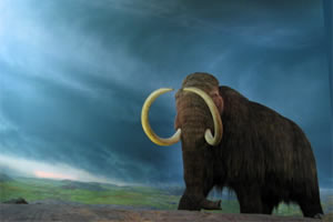 Once upon a time, the prehistoric steppes of North America hosted a menagerie of giant mammals - woolly mammoths