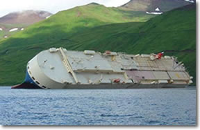 Cougar Ace Alaska