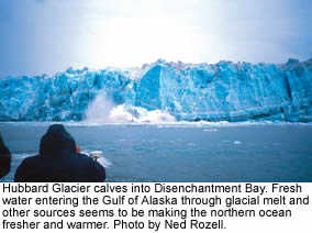 glaciers