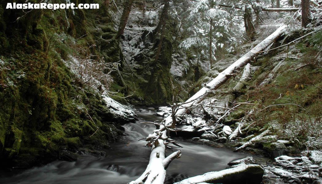 First Snow Of The Season In Juneau, Alaska