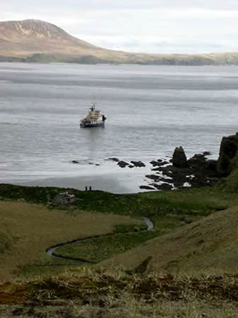 There aren't many places left in the world where animals make a comeback after they've disappeared, but an island in the western Aleutians may be a pleasant exception.