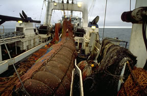 Ocean Trawling