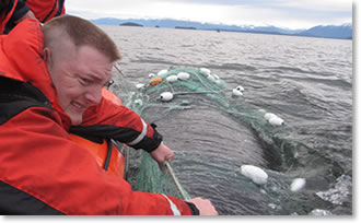 Humpback Whale