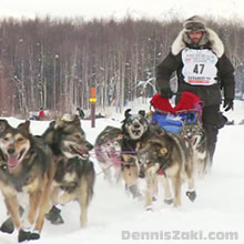 Lance Mackey Wins Forth Iditarod