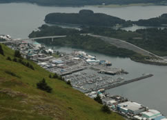 The North Pacific Fishery Management Council chair, Eric A. Olson has appointed the restructured Bering Sea Crab Advisory Committee's newest members on November 16, 2007.