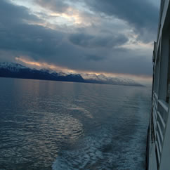 Alaska Marine Highway head Robin Taylor submitted a letter of resignation to governor Sarah Palin and was gladly accepted.