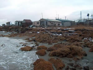 Shrinking sea ice. Coastal erosion. Warming permafrost. Greening tundra. Burning forests. Shifts of marine mammals and fish that will make it harder to gather food.