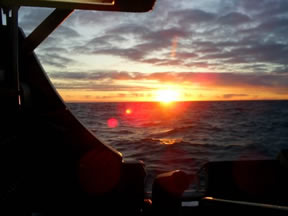 One morning about a month ago I was on a cod longliner about thirty miles off the Alaska Peninsula.