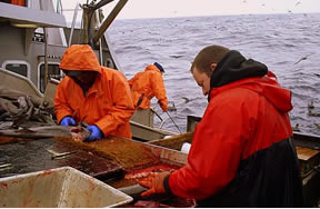 Alaska's Fishermen