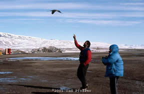 Tad Pfeffer and Mark Meier at Eureka, Ellesmere Island in 1989.