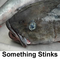 An Act amending the powers of the Board of Fisheries to include regulating commercial cooperative fisheries, was introduced, by the Senate Rules Committee by Request, on May 16, 2007.  Oh yes, John Cowdery chairs the Rules committee - or maybe it's Senator A.