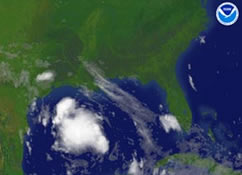 Tropical Storm Erin made landfall on the Texas coast early Thursday, but came in as a tropical depression with winds of 35 mph and some heavy rain.