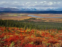 Arctic National Wildlife Refuge ANWR ANWAR