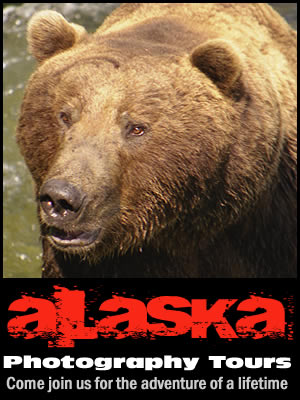 Alaska Photography Tours