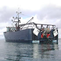 NOAA's Fisheries Service has prohibited the use of bottom trawl gear