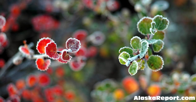 Along the Denali Highway, Alaska - September 3rd, 2007