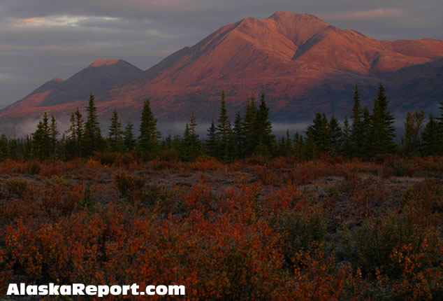 Sunrise in Denali National Park - September 3rd, 2007